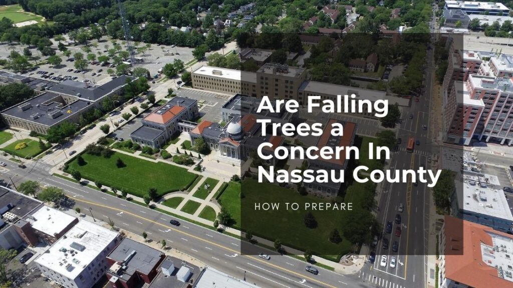 Falling-Trees-Nassau-County