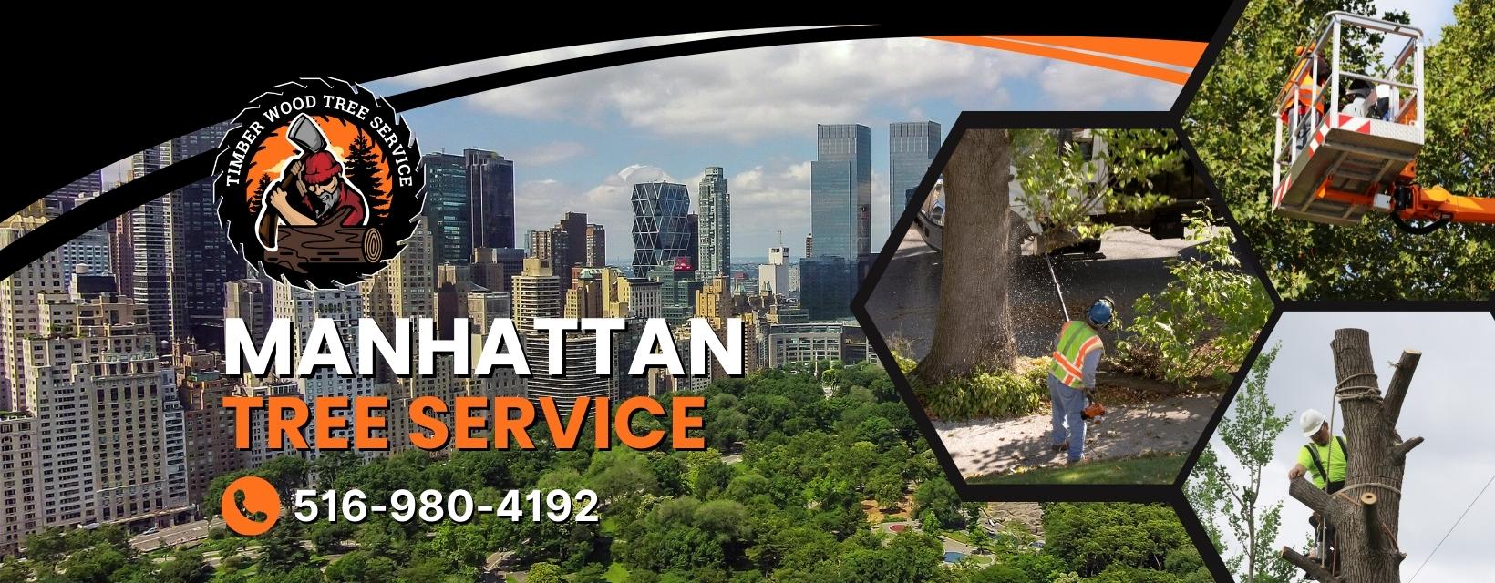 Manhattan-Tree-Service