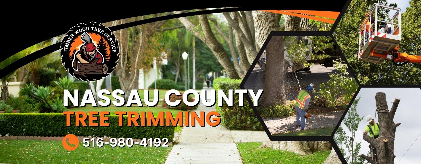 Timber Wood Tree Service | Tree Trimming in Nassau County, NY