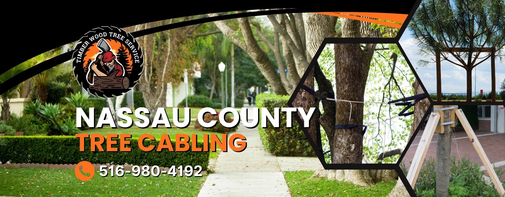 Timber Wood Tree Service | Tree Cabling in Nassau County, NY