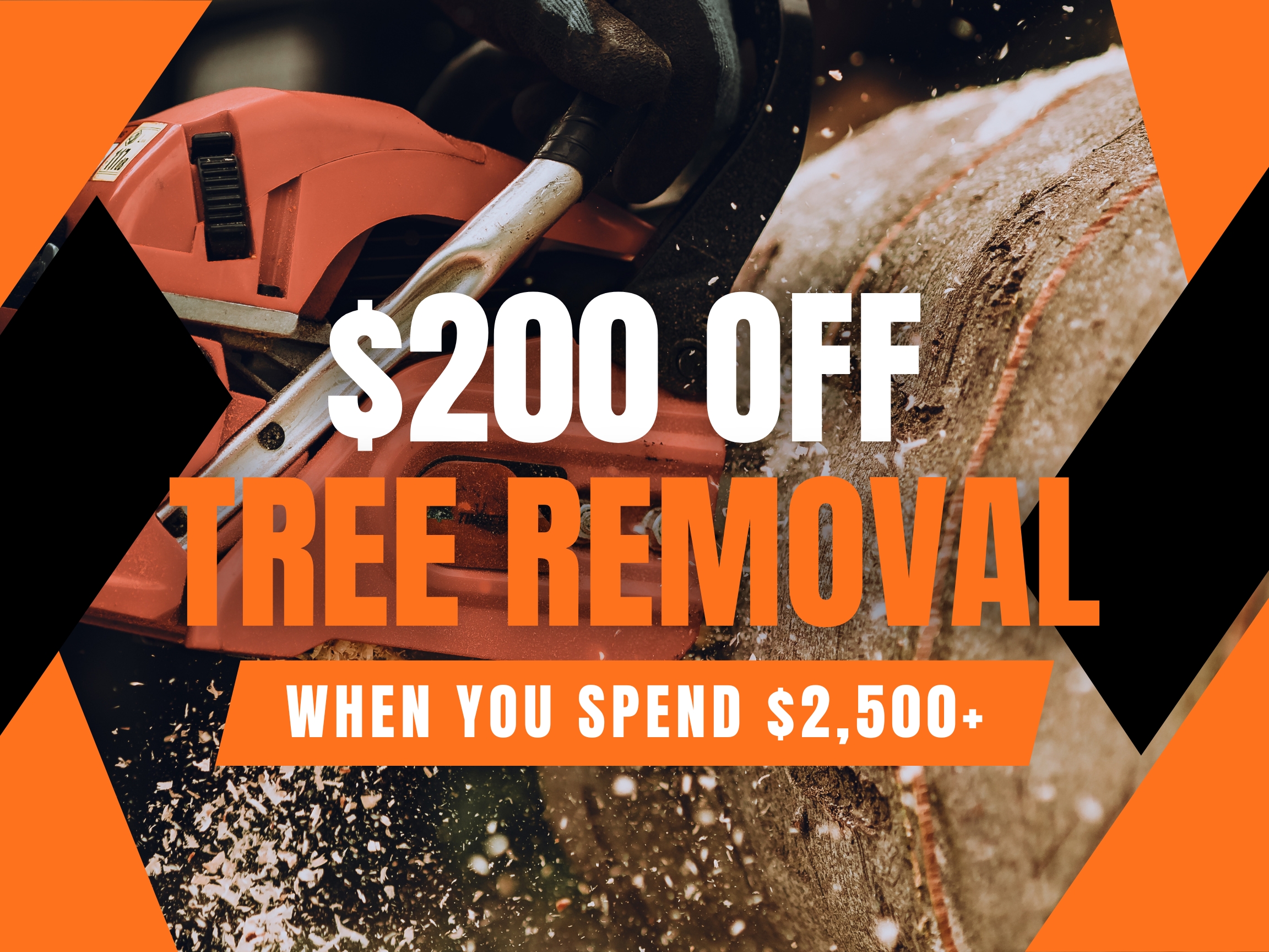 Tree-Removal-Discount
