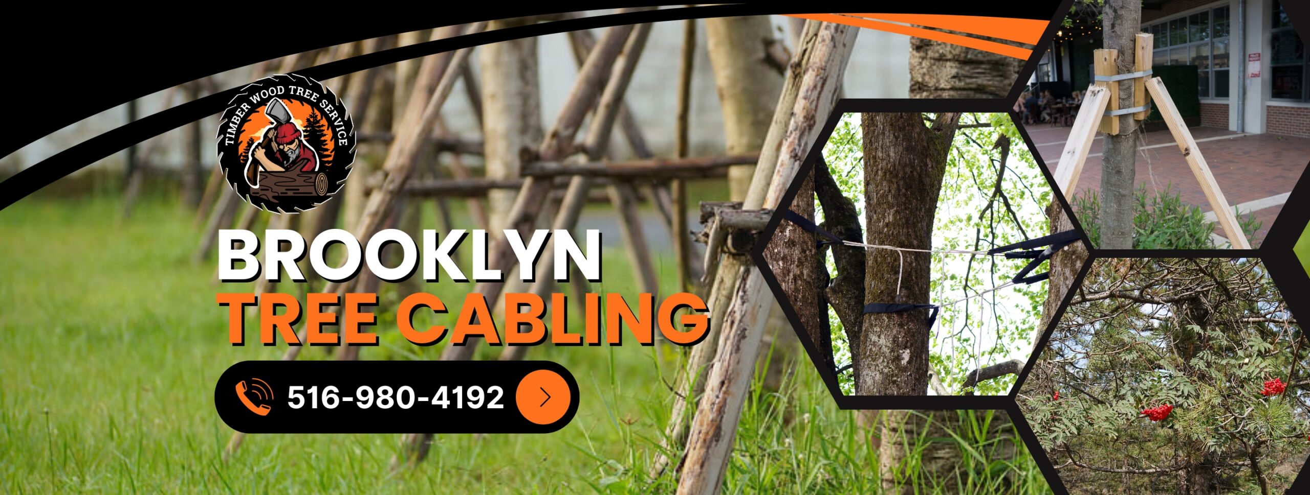 Brooklyn-Tree-Cabling