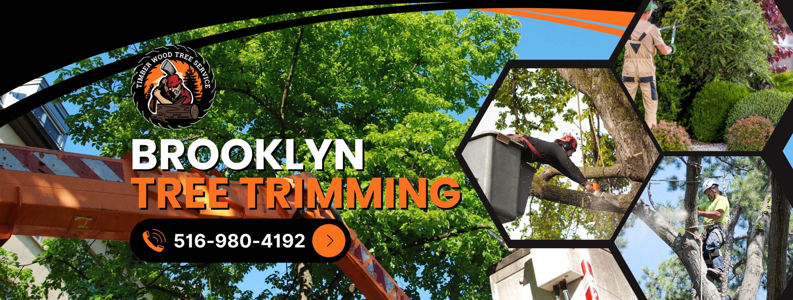 Brooklyn-Tree-Trimming