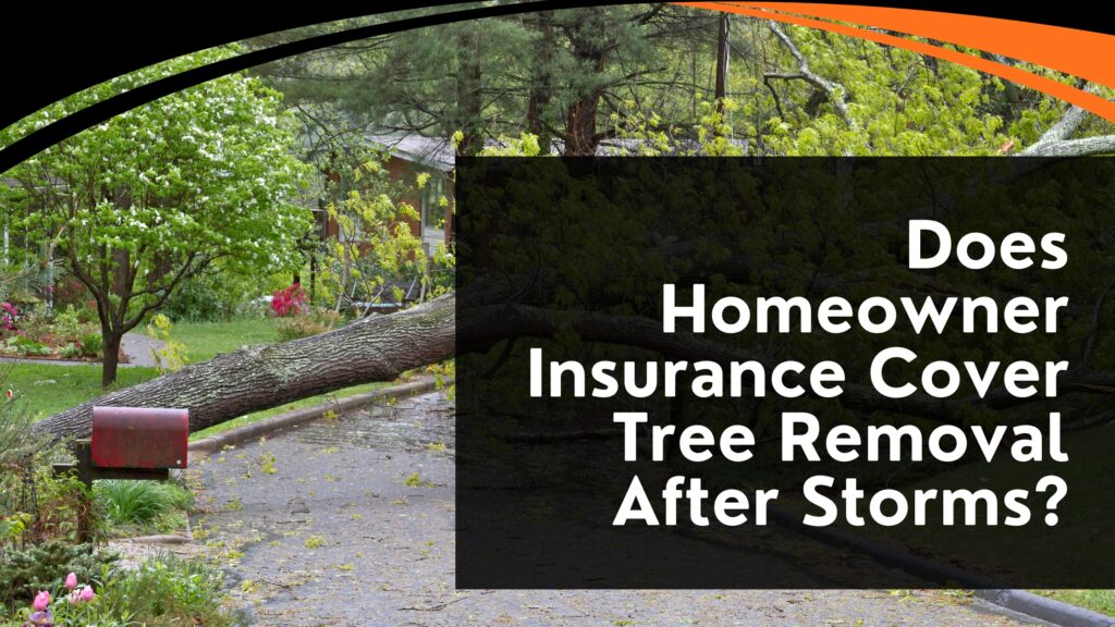 Does-Homeowners-Insurance-Cover-Tree-Damage