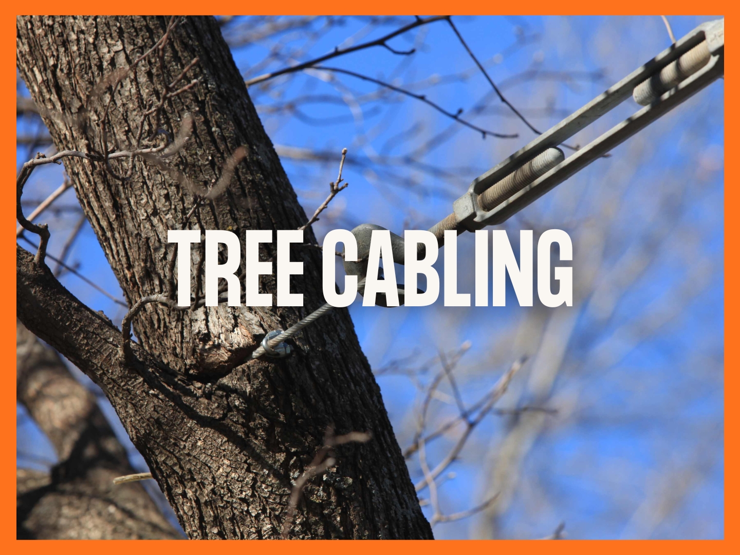 Tree-Cabling