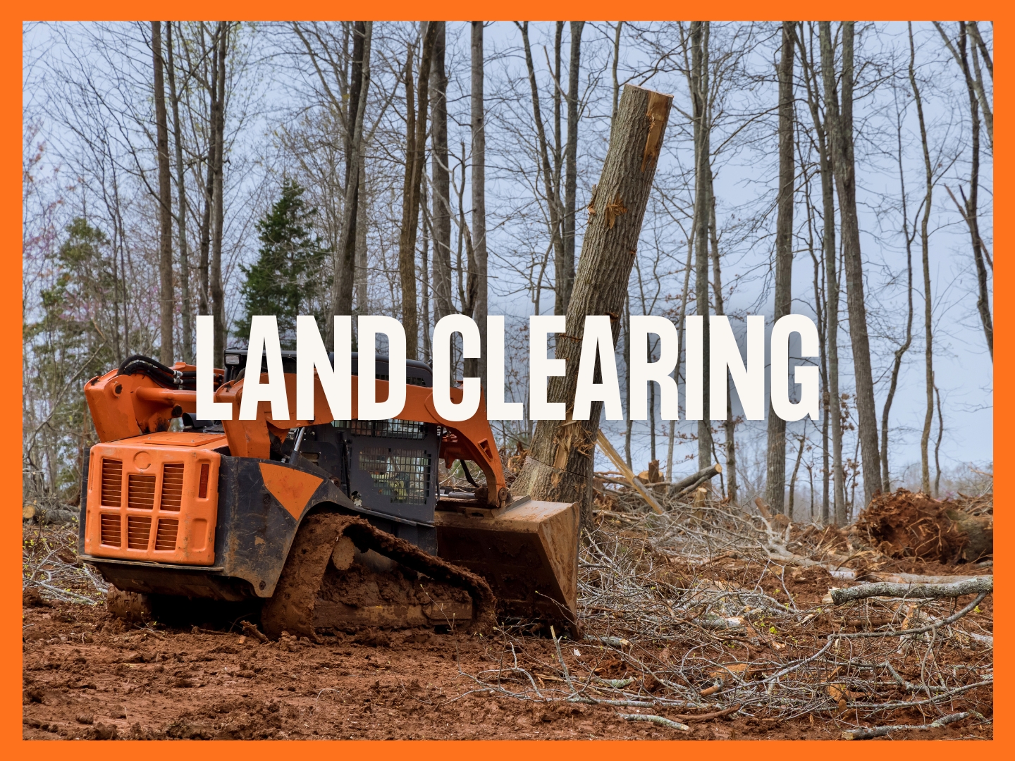 Land-Clearing