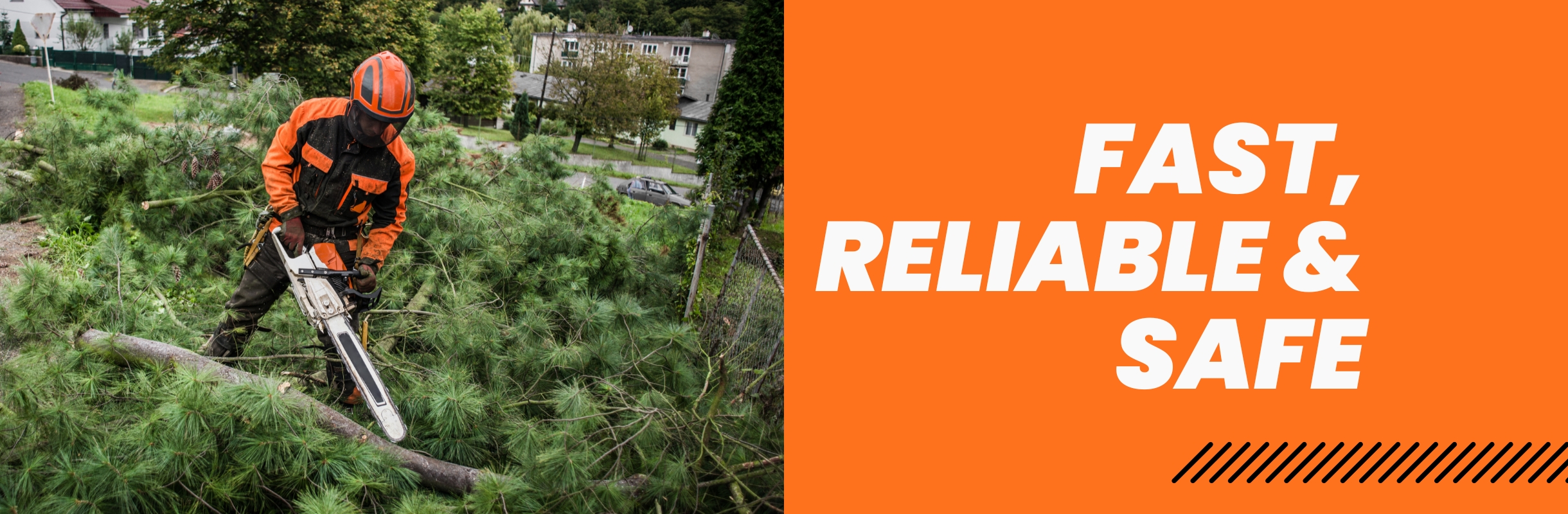 Timber Wood Tree Service | Stump Removal | Queens & Long Island