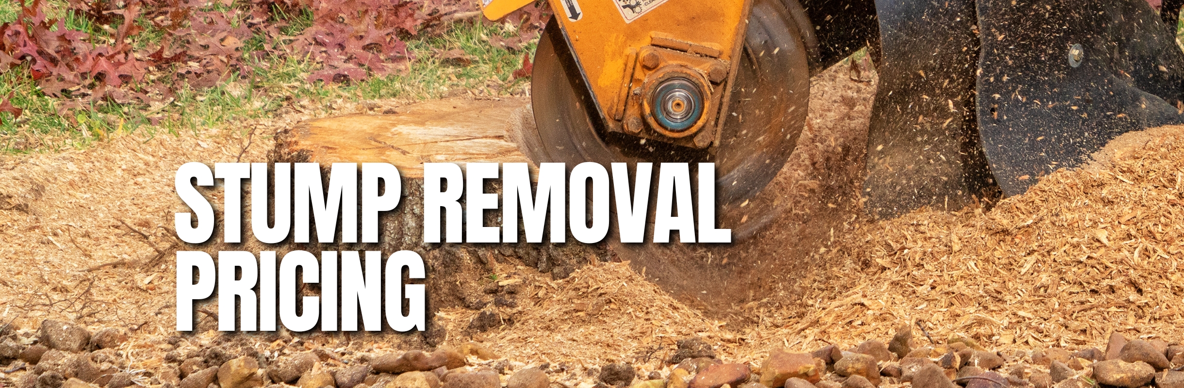 Stump-Removal-Pricing