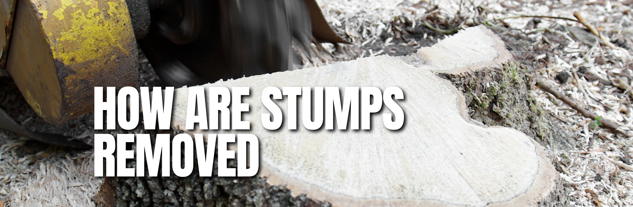 How-Are-Stumps-Removed