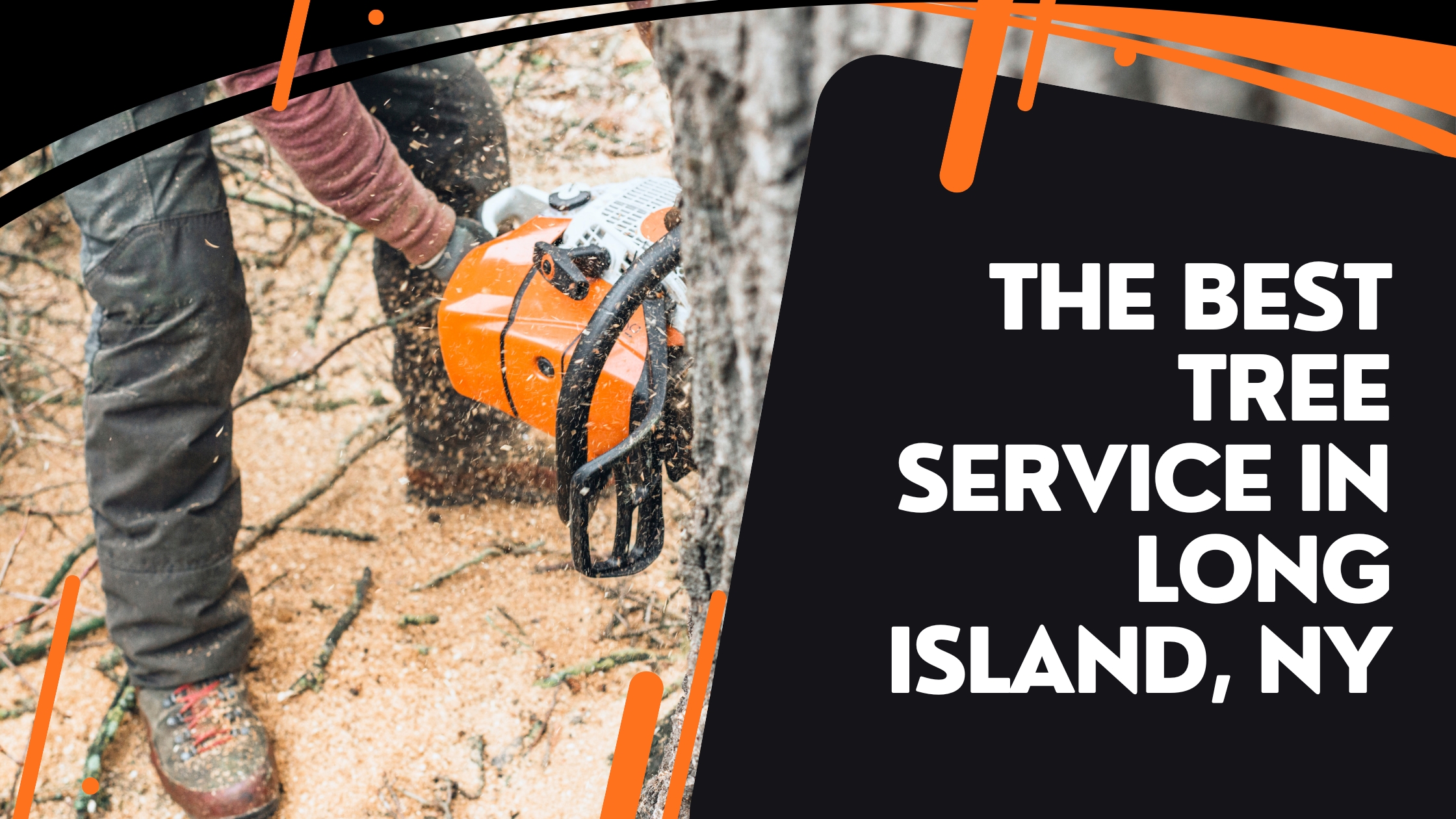 Best-Tree-Service-Long-Island