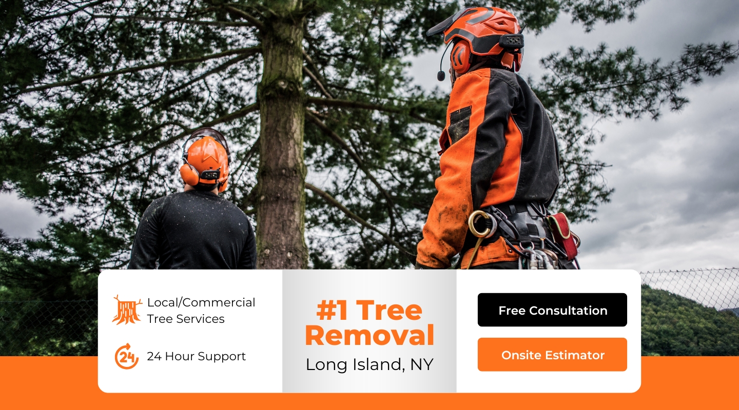 Tree Service & Tree Removal | Long Island, NY